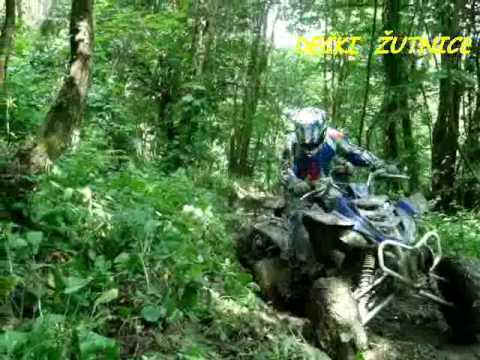 134. DEČKI  ŽUTNICE - Belaž II