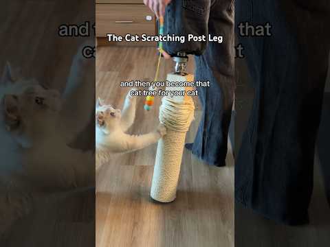 I MADE MY LEG INTO THIS?!