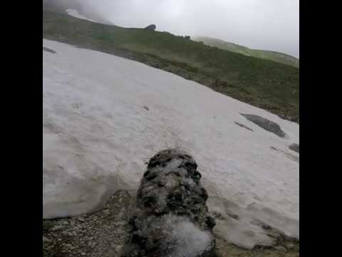 Nerito Bikestorm uomo tigre