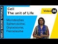Cell The Unit Of Life NEET Microbodies Spherosome Glyoxisome Peroxisome