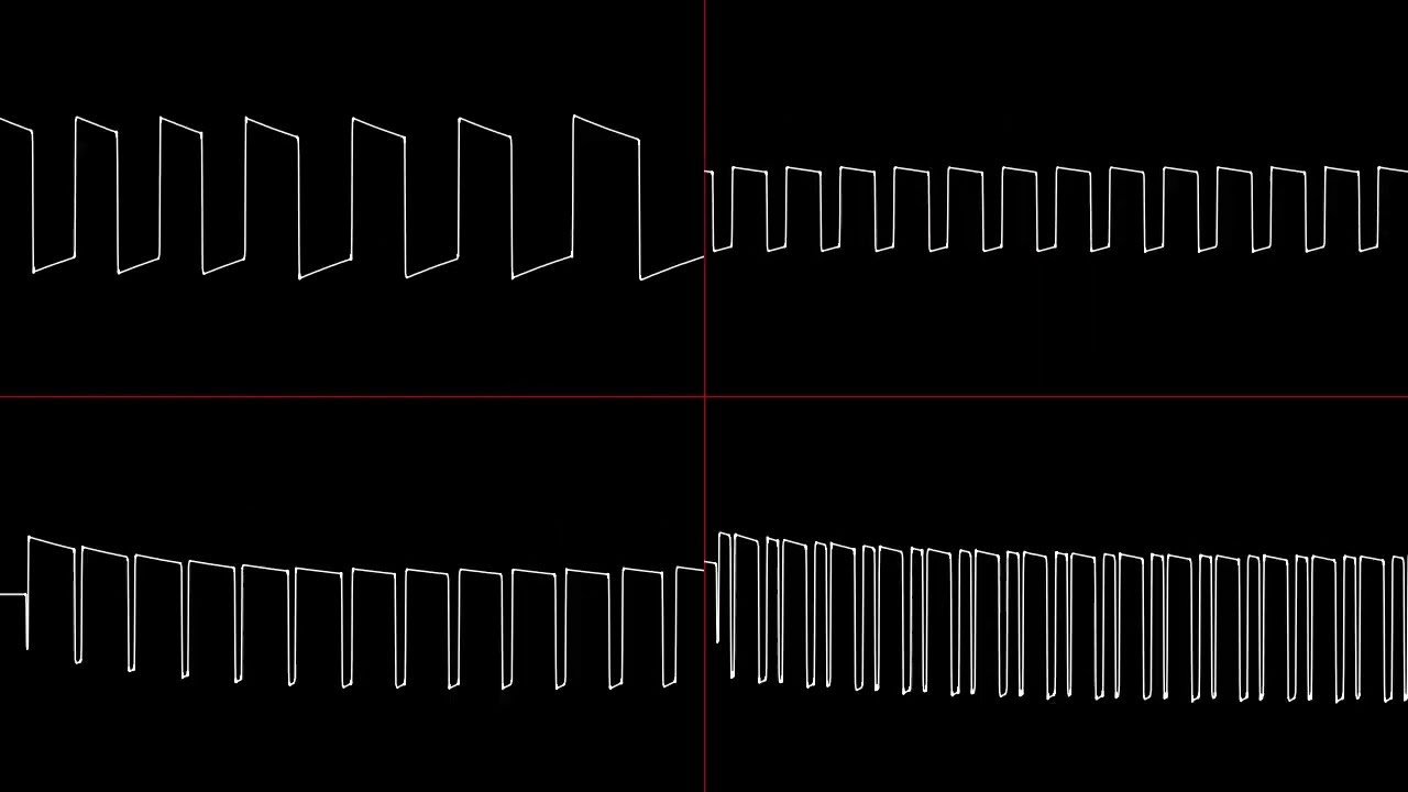 High Speed Potato (MEROS 1219)