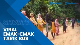 Viral Video Emak-emak Tarik Bus di Jalanan Berlumpur, Sentil Pemerintah Daerah