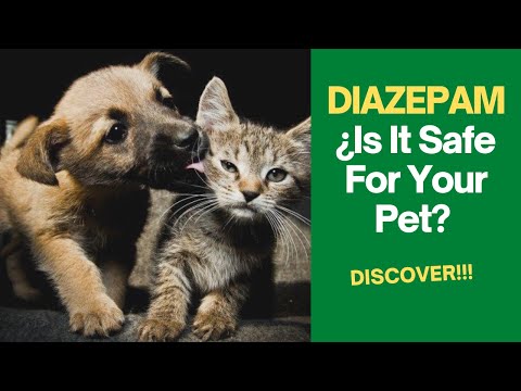 🐶🐱DIAZEPAM For DOGS AND CATS (Dose and Use)💊