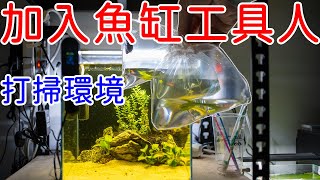 加入魚缸清道夫 清潔魚缸青苔好幫手 | 霸王紅長戢槍蝦 大和藻蝦 黑金剛螺 | 翻缸後初次放生物