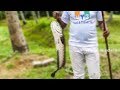 RED SNAPPER FISH GRAVY WITH DRUMSTICK MY3STREETFOOD MULAKADA FISH PULUSU Street Food