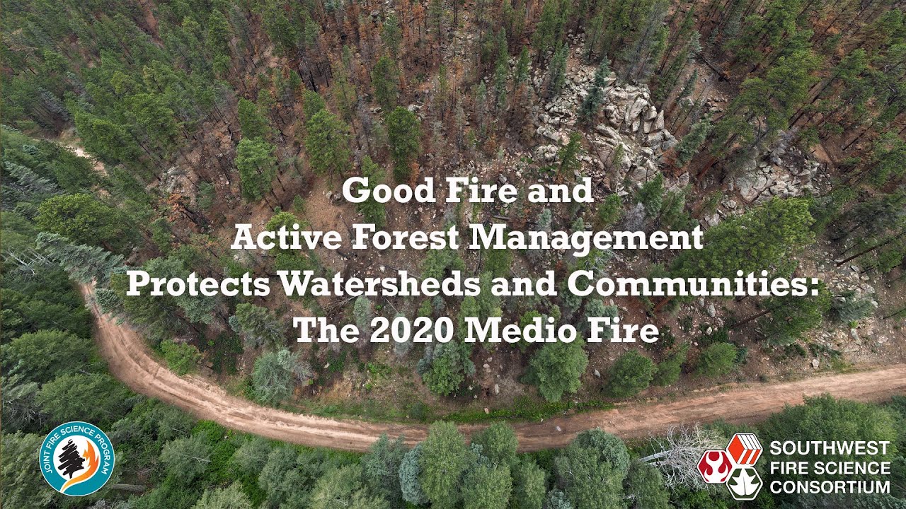 Good Fire and Active Forest Management Protects Watersheds and Communities: the 2020 Medio Fire