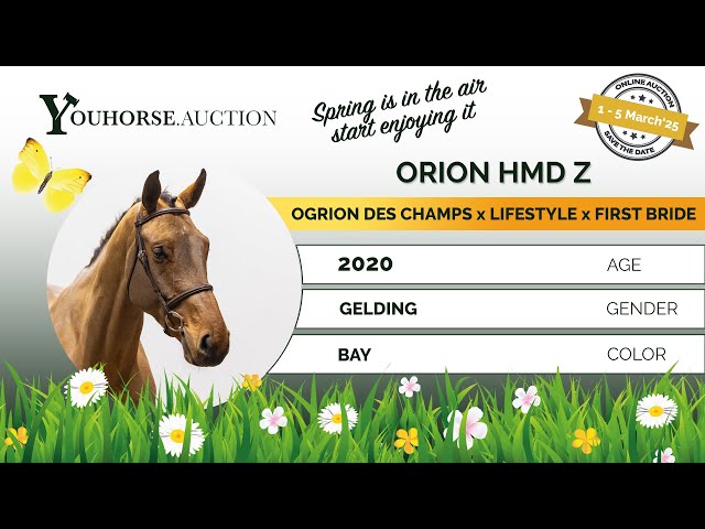 Orion HMD Z
