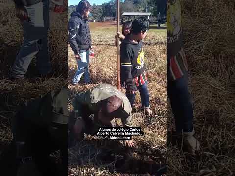 alunos plantando as Araucárias na tekoa tapixi.. Nova Laranjeiras PR