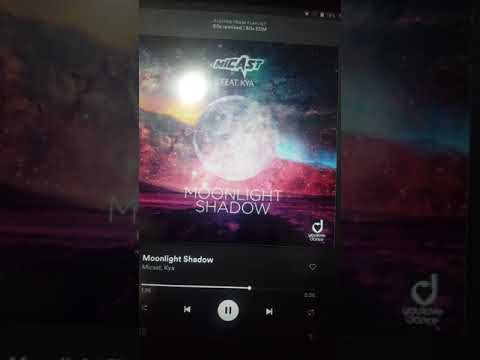 Moonlight Shadow On Spotify 80's Remixed and 80's EDM