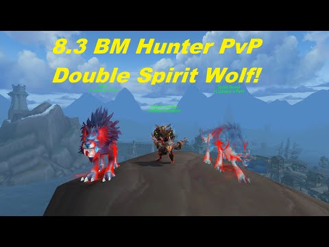 WoW 8.3 BM Hunter PvP - 18 Kills BM Damage Good in PvP?! - Lvladen Commentary