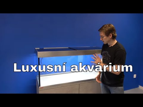 Watch Video on YouTube