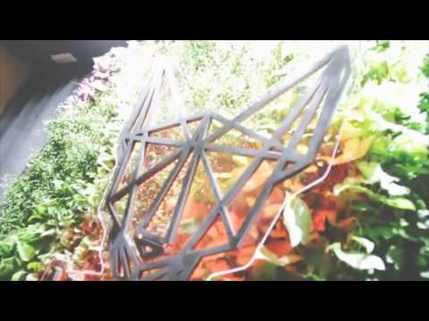 MOSH Fun Kitchen Experience