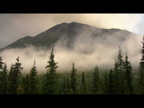 Natalia Przybysz - Dom  (Ambient cover)