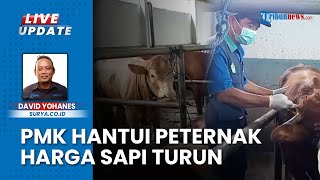 Wabah PMK Hantui Peternak Sapi Potong di Tulungagung, Harga Turun hingga Rp 4 Juta per Ekor