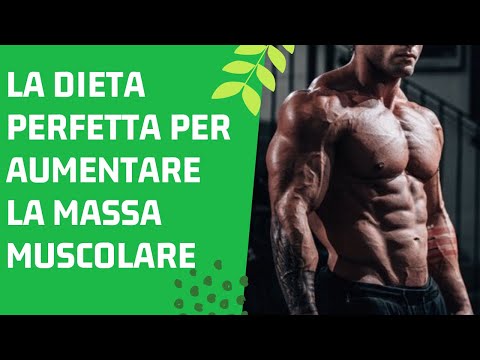 Penis manualmente Come gli ormoni influenzano la potenza negli uomini