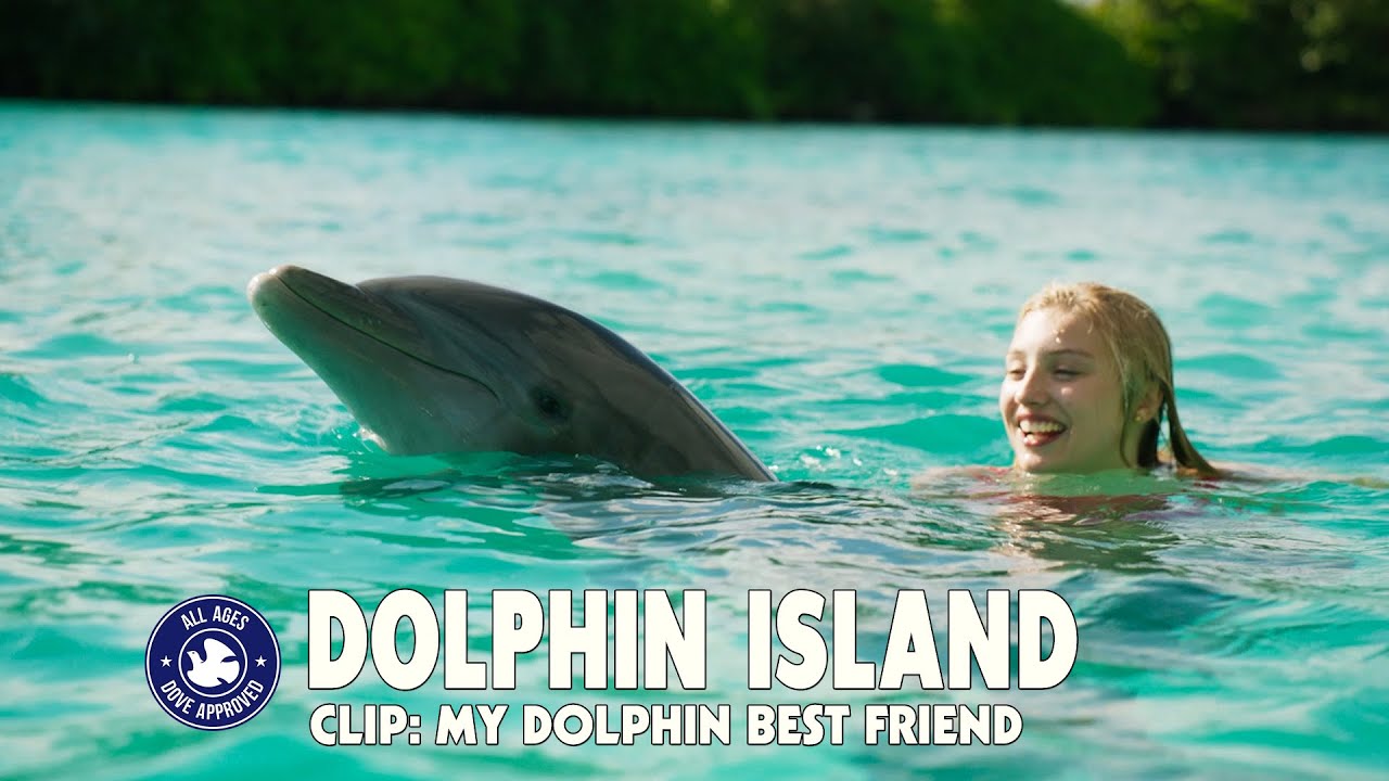 Dolphin Island Video #1