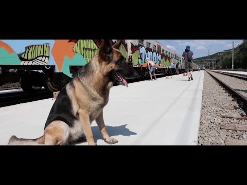 Second POV - Chapter 8/12 (Belgium)