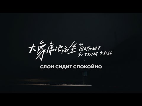 Трейлеры Слон сидит спокойно