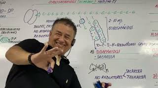 GLÚCIDOS - CLASE COMPLETA - CLASE EN VIVO - CON EL PROFESOR MÁS DIDÁCTICO DE AMÉRICA LATINA -