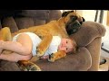 When Your Dog Claim Your Baby As Their Special Friend