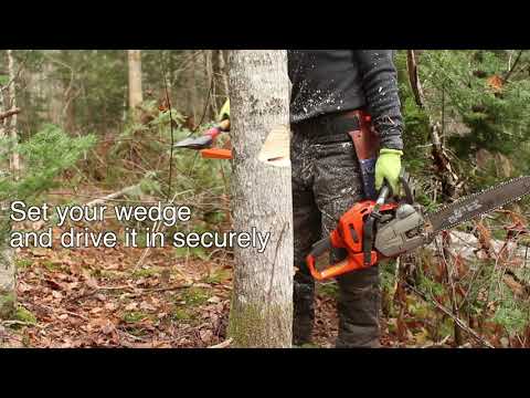 Small Diameter Back-Leaning Tree