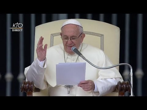 L’Esprit Saint donne la force d’être sel et lumière (Audience générale du 23 mai 2018)