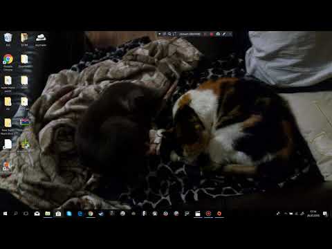 download lagu mp3 mp4 Movie Maker Zdarma, download lagu Movie Maker Zdarma gratis, unduh video klip Movie Maker Zdarma