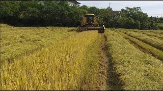 Miniatura do vídeo