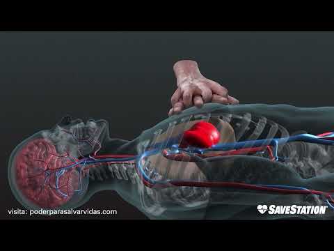 SPANISH: CPR in action | A 3D look inside the body