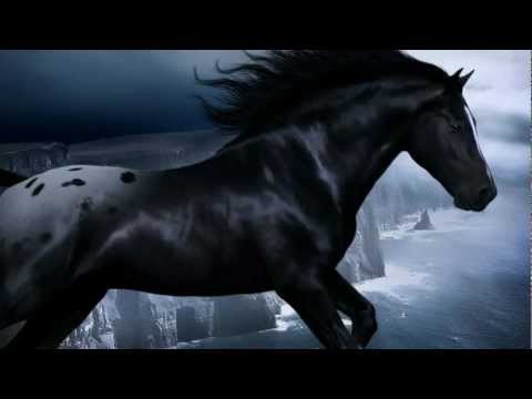 ~•~Matthew Fisher ~•~Why'd i have to fall in love with you.HD 1080p