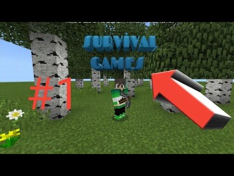 Minecraft-Sade survival #1