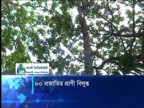 ৮০ প্রজাতীর প্রাণী বিলুপ্ত