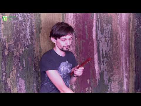 Comparison of two whistles in D rosewood