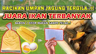Download lagu RESEP UMPAN JAGUNG AMIS TERGILA !! RACIKAN UMPAN IKAN MAS JAGUNG UNTUK BABON&RAME TERJITU ❗❗ mp3