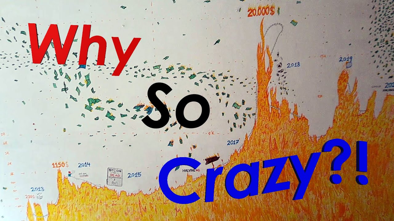 The Bitcoin Roller Coaster! [Mini Movie] - Price Movements Explained