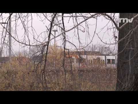 Die rnv GmbH: ÖPNV in der Metropolregion Rhein-Neckar