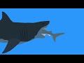 megalodon vs great white shark