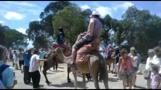 Saastamoinenja maapallonpysähdys seikkailun lyhyt traileri