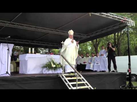 SHKM Sisak 2012. -  Propovijed biskupa Mate Uzinića u Petrinji