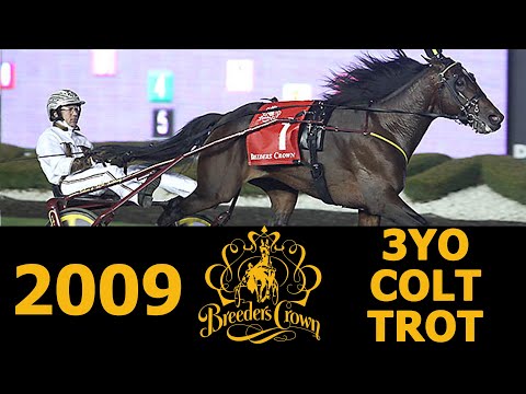 2009 Breeders Crown - Muscle Hill - 3YO Colt Trot