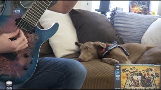 Video thumbnail for GetGood Drums - P IV Matt Halpern Pack Demo by Adam Bentley