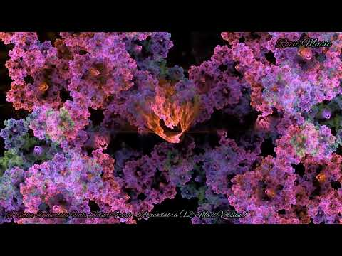 Positive Connextion Feat. Sidney Fresh - Abacadabra (12'' Maxi Version)