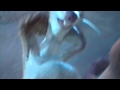 Ice Age Rain Scene DVD 2002