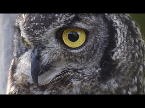 Unveiling the Divine: God's Resting Place in the Rock