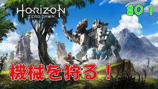 Horizon Zero Dawn ポチ猫のゲーム実況 #01