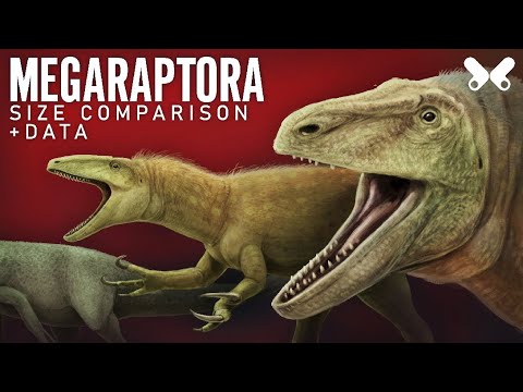 MEGARAPTORA. Dinosaurs size comparison and data