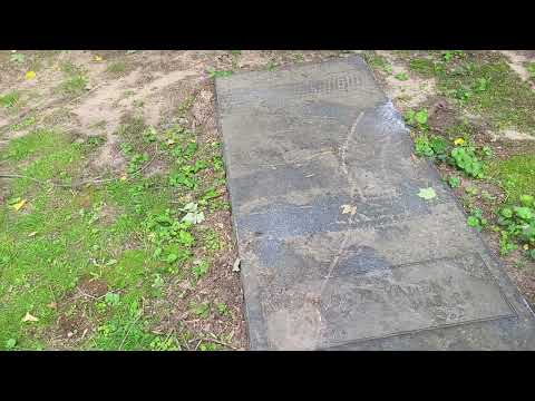 Louis Randolph Yansky Sr - Circus Entertainer