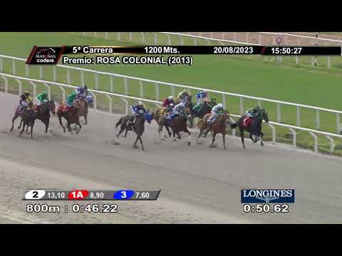 230820 c05 REINA DEL SABA