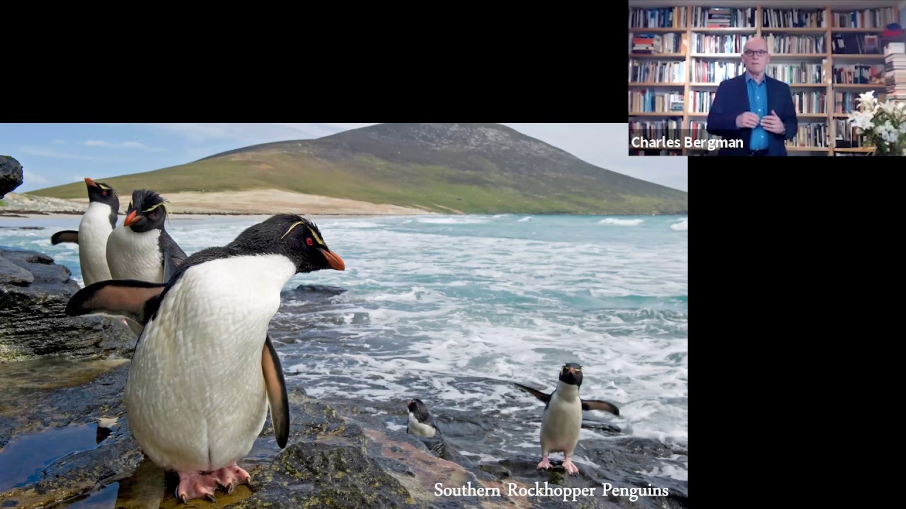 Photographer/Author Charles Bergman on EVERY PENGUIN IN THE WORLD: A QUEST TO SEE THEM ALL