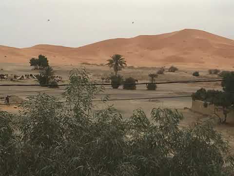 Anomarel-Daud "One night in Morocco"